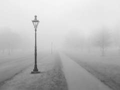 백망되/ 빈자리의 온기 - 첫번째 외전 고양이의 온도