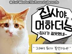 집사야 머하더냥 ~집사가 잘못했네~