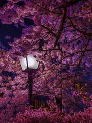 커뮤 러닝 완료.