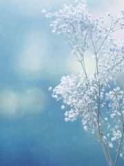 [엘류아] Raindrop