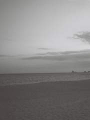 이제서야 다끝나가는 2020년