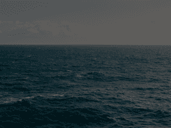 헬레 P. 스폰토스 - Wheel of Fortune