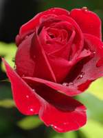 Outside Launique Academy