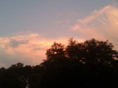 연습용으로 적어보는 글