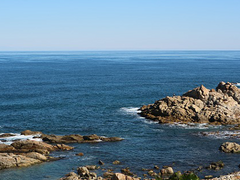 몬랑자 본계 & 뒷계 백업 13