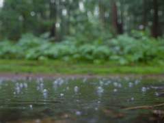 [셋링] 사모하는 마음-2