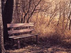 [제바티/나태신]