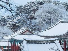 어느 겨울의 이야기 上