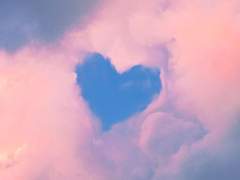 「내가 죽이던 것」에 관한 공지