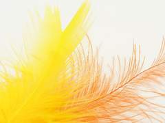 [소율새봄]亡者