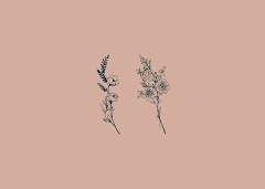 죽음은 가장 사랑했던 이의 얼굴을 하고 온다