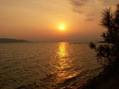 ㅡ. 초여름의 유예