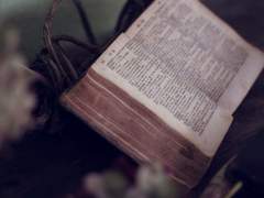 연태영/인간/성직자