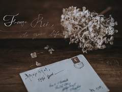 후루야 레이, 당신의 삶에게