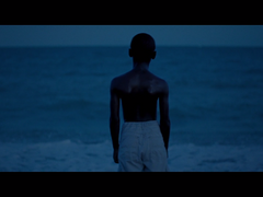 문라이트: 파르라니 빛나는 외피