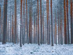 [이곤조영] Winter Night. 3