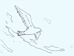 창공을 헤매이는 새