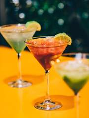 [GL] Alco - Holic (알코-홀릭) (完) *리메이크 예정*