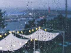 사랑은 비를 타고