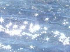 青春에 즈려밟힌.