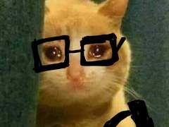 [랩슈] 너드수 한 마리 몰고 가세요!