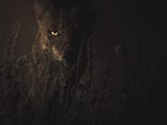 엄마는 가끔 너를 안아줄 품이 없어