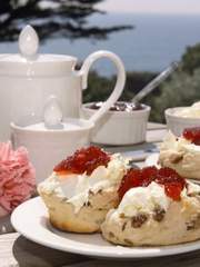 장미 정원의 티 타임