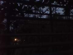 트윙크의 우당탕탕 추리물! -프롤로그-