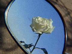 서로의 교리가 되어주는,