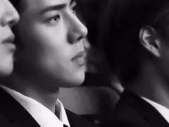 표현 불능의 발달 단계 8