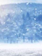 ing 비밀의 숲/여우와 사냥꾼