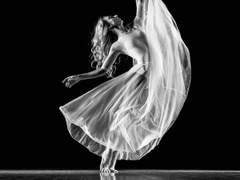 재능의 찬연, 노력의 추락