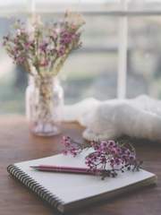 꿈의 노트: 작가