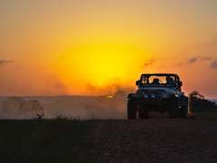 삼장오공 │ 진실 혹은 술주정