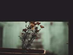 이름도 모르는 아이에게.