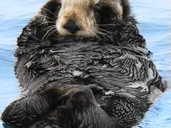 조개줄게. 나랑 사귈래 ep. 04