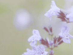 [공개]서초운-17-경영학과-22524