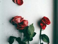 다시는 돌아오지 마.