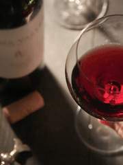 사랑이란 바람처럼 찾아왔다가 술에 취한 듯 맺어진다