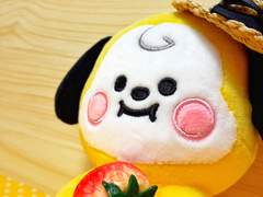 아기 농부 박치미