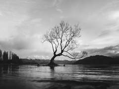 고죠후시 짧썰 모음