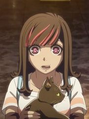 아쿠다마 드라이브