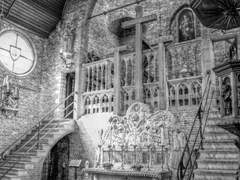 Wynne-Edwards D. H. / Vampire / 사회 생물학자