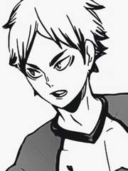 세미에이타 드림 