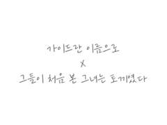 가이드란 이름으로 X 그들이 처음 본 그녀는 토끼였다.