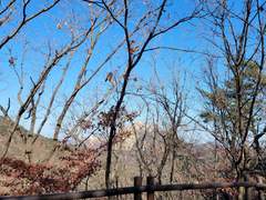 [BTS 방탄소년단 RM] 201111 위버스 모먼트 업데이트