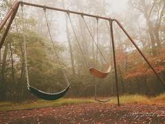 요즘 애들도 빼빼로데이 챙긴다