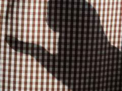 백망되/ 켈냥과 손님