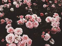 아무도 모를 일