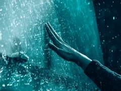 햇님 , 달님 꽃은 언제 시들어요 ?